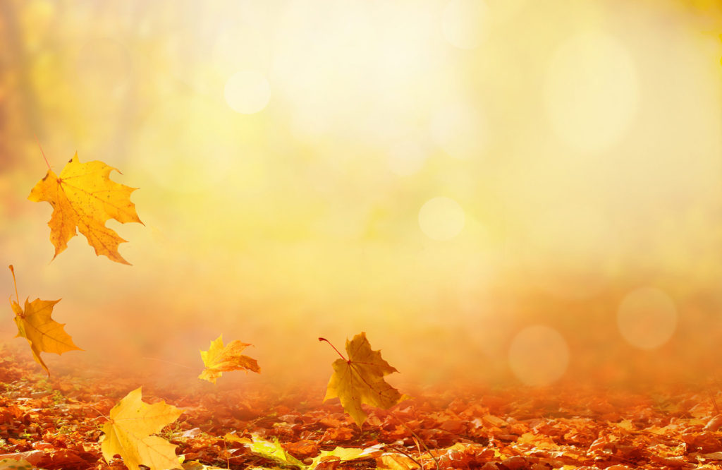 ＡチームとＢチーム